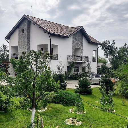 Pensiunea Codruta Carpinisu Exterior photo