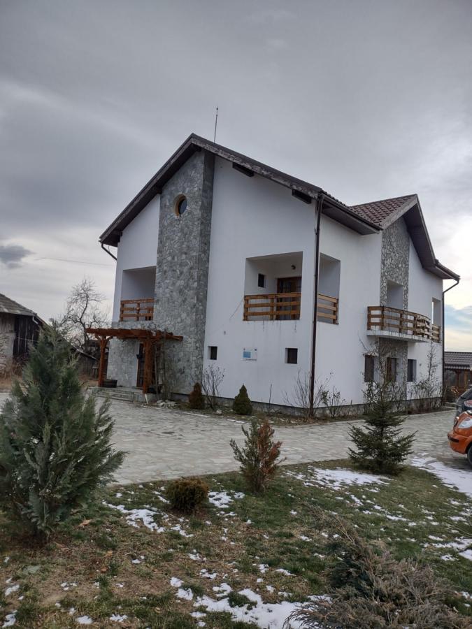 Pensiunea Codruta Carpinisu Exterior photo