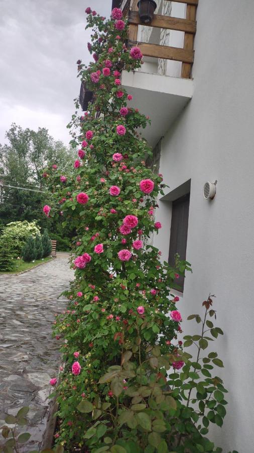 Pensiunea Codruta Carpinisu Exterior photo