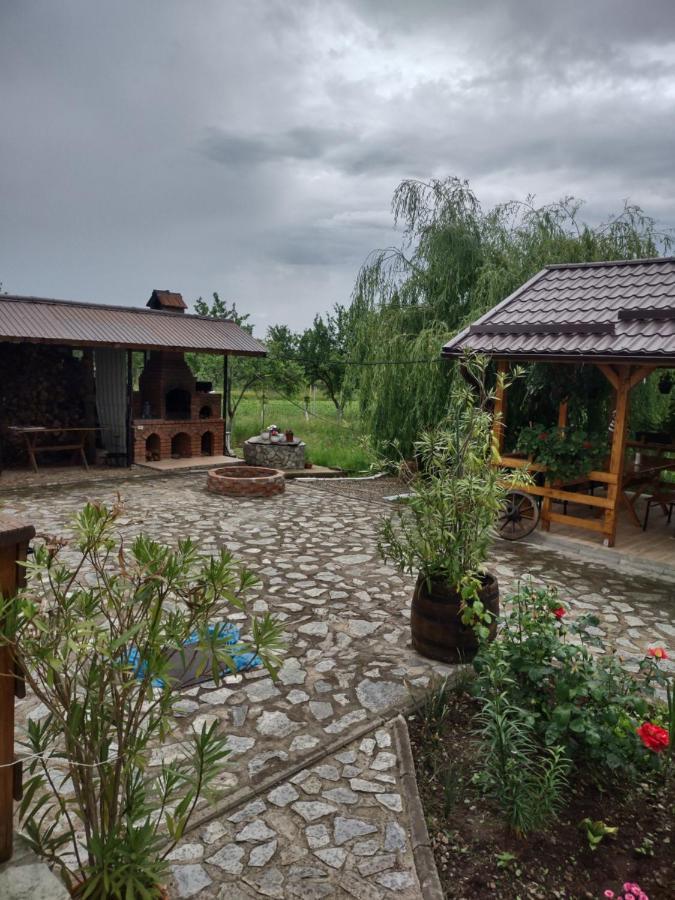 Pensiunea Codruta Carpinisu Exterior photo