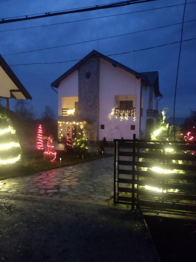 Pensiunea Codruta Carpinisu Exterior photo