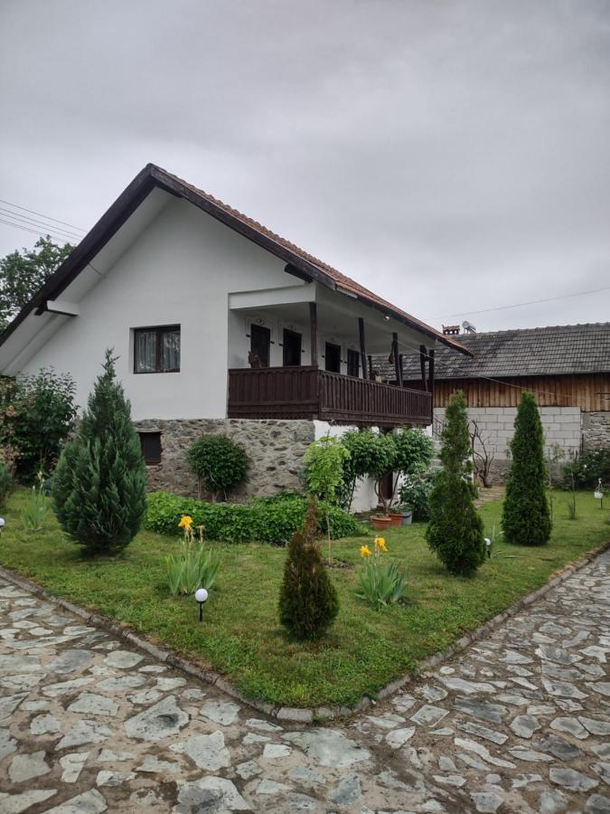 Pensiunea Codruta Carpinisu Exterior photo
