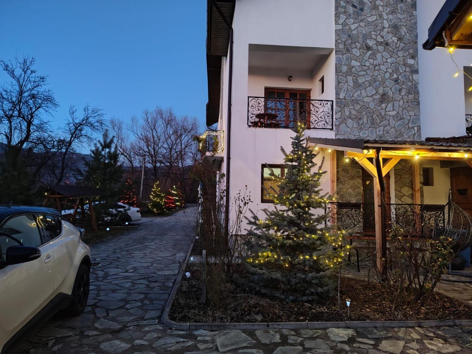 Pensiunea Codruta Carpinisu Exterior photo