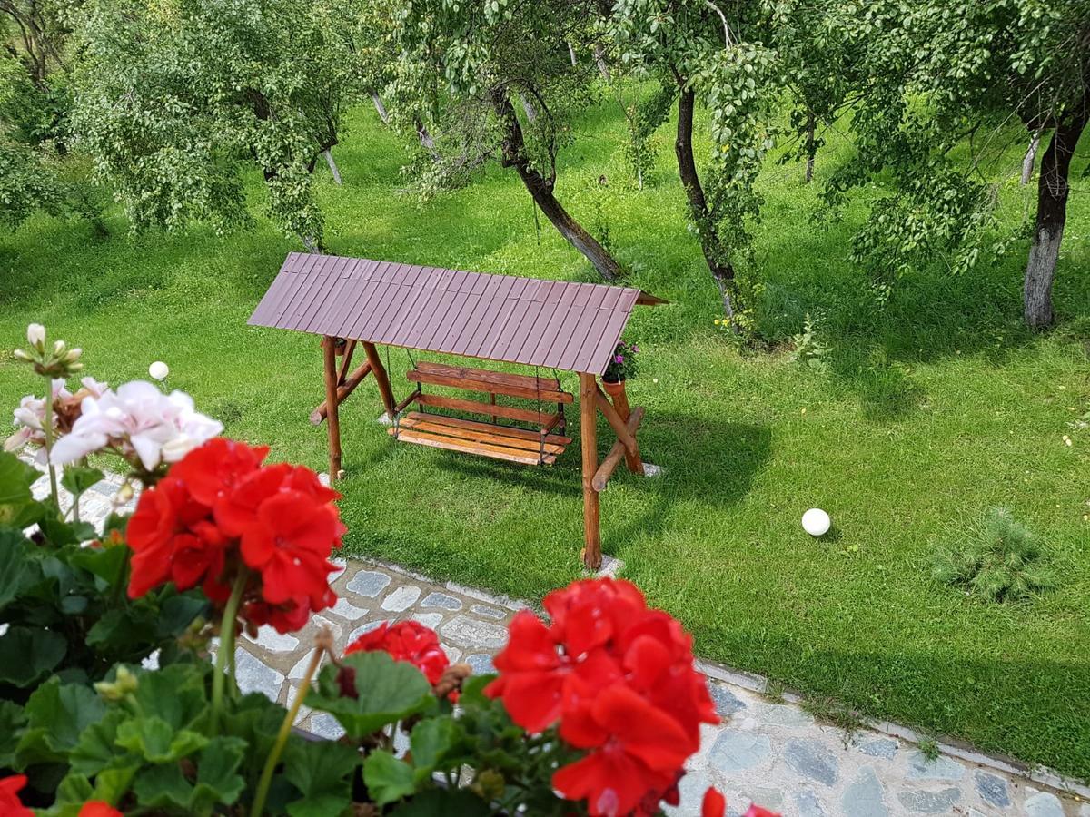 Pensiunea Codruta Carpinisu Exterior photo